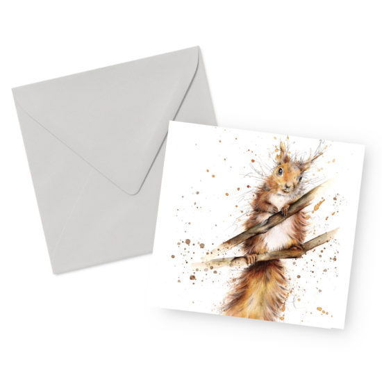 Red Squirrel Square Greetings Card and Envelope