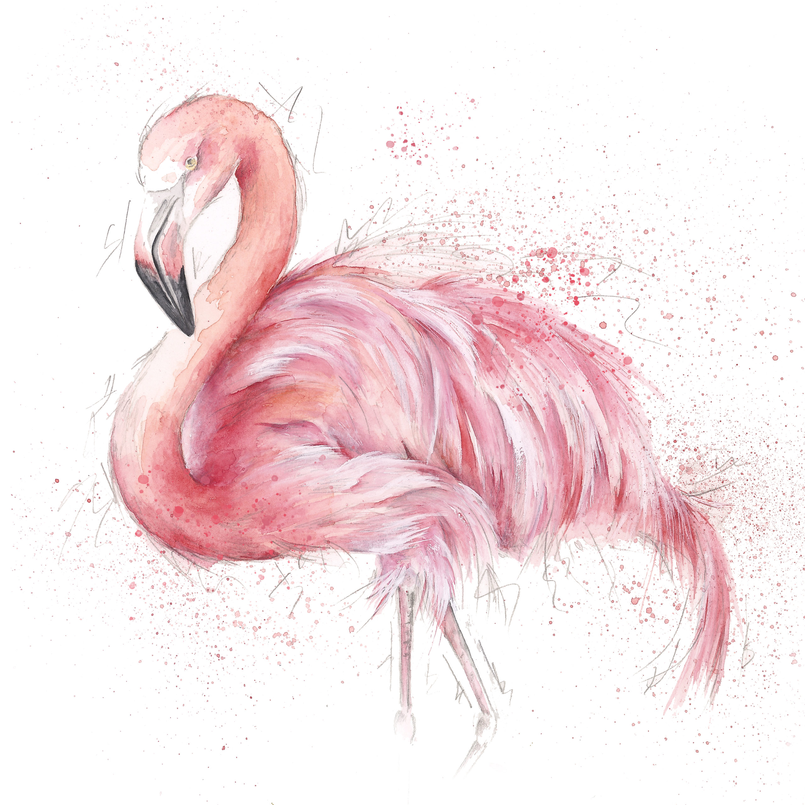 Pink Flamingo Print Shoreline Partners