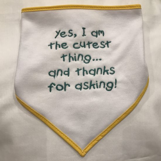 Baby's Bib - "Yes, I am the cutest thing .... and thanks for asking" by Dee Nolan