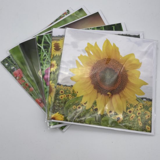 Pack of Six Floral Greetings Cards by Wilfred Jenkins