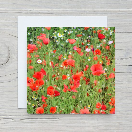 Poppies Greetings Card by Wilfred Jenkins