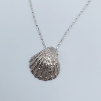 Sterling Silver Clamshell Necklace by Jane Martin